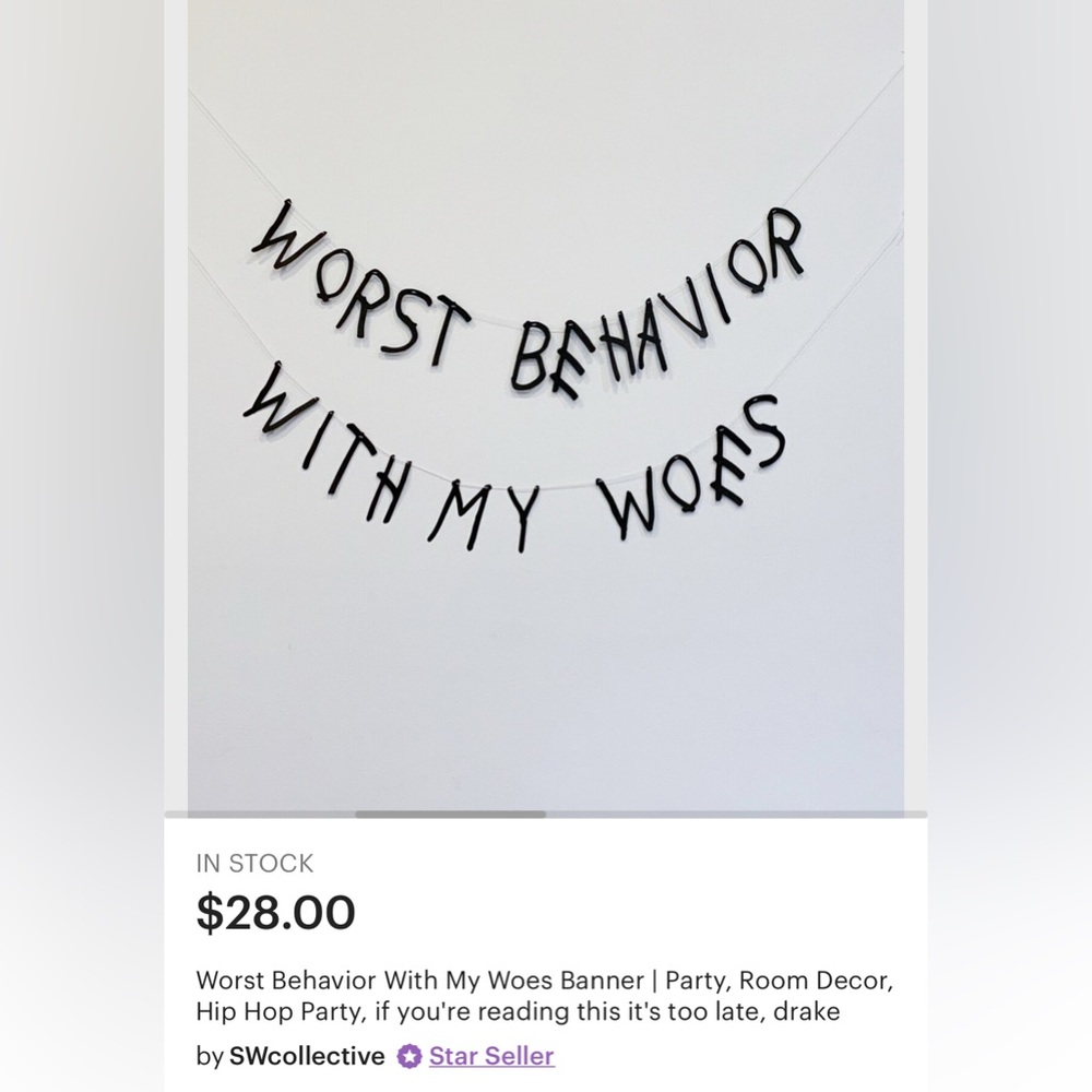 Drake Worst Behavior With My Woes Bachelorette Party Banner Decor